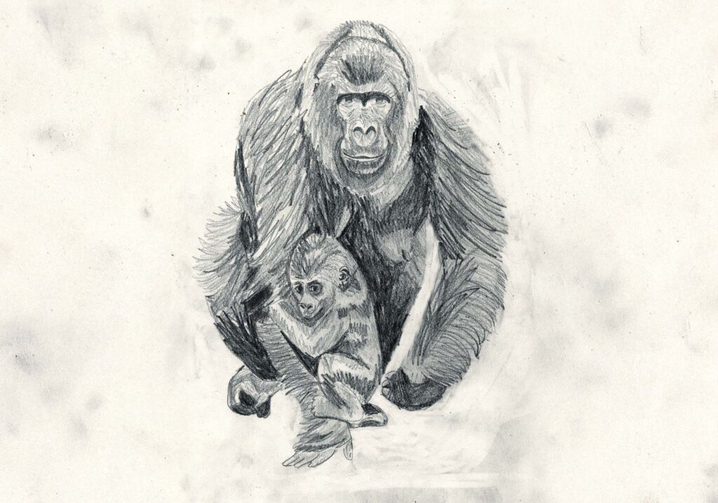 a running gorilla mum and her kid drawn in pencil