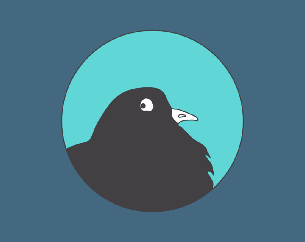 face of an illustrated pigeon, looking surprised and funny at the same time. The pigeon is looking behind him