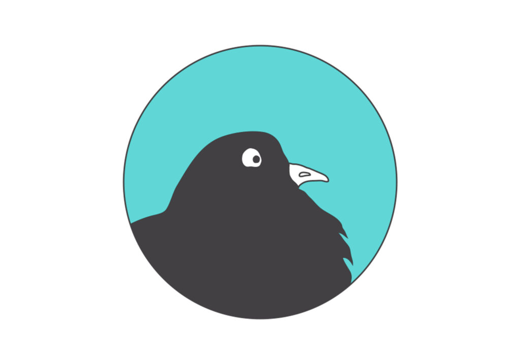 face of an illustrated pigeon, looking surprised and funny at the same time. The pigeon is in a black circle and is looking in front of him