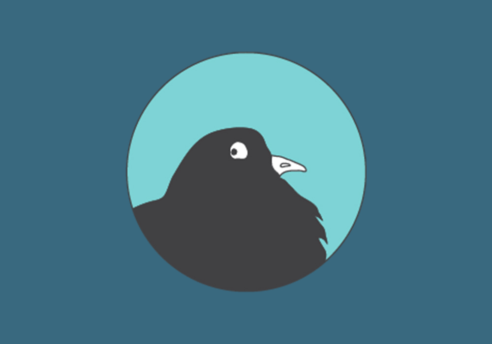 face of an illustrated pigeon, looking surprised and funny at the same time 