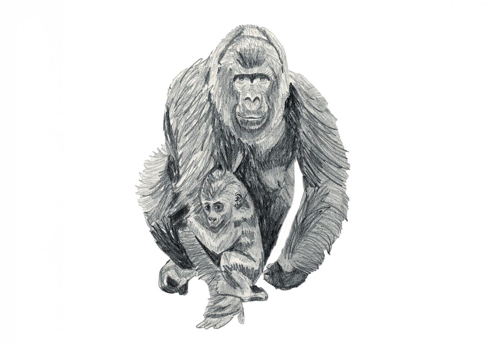 a running gorilla mum and her kid drawn in pencil