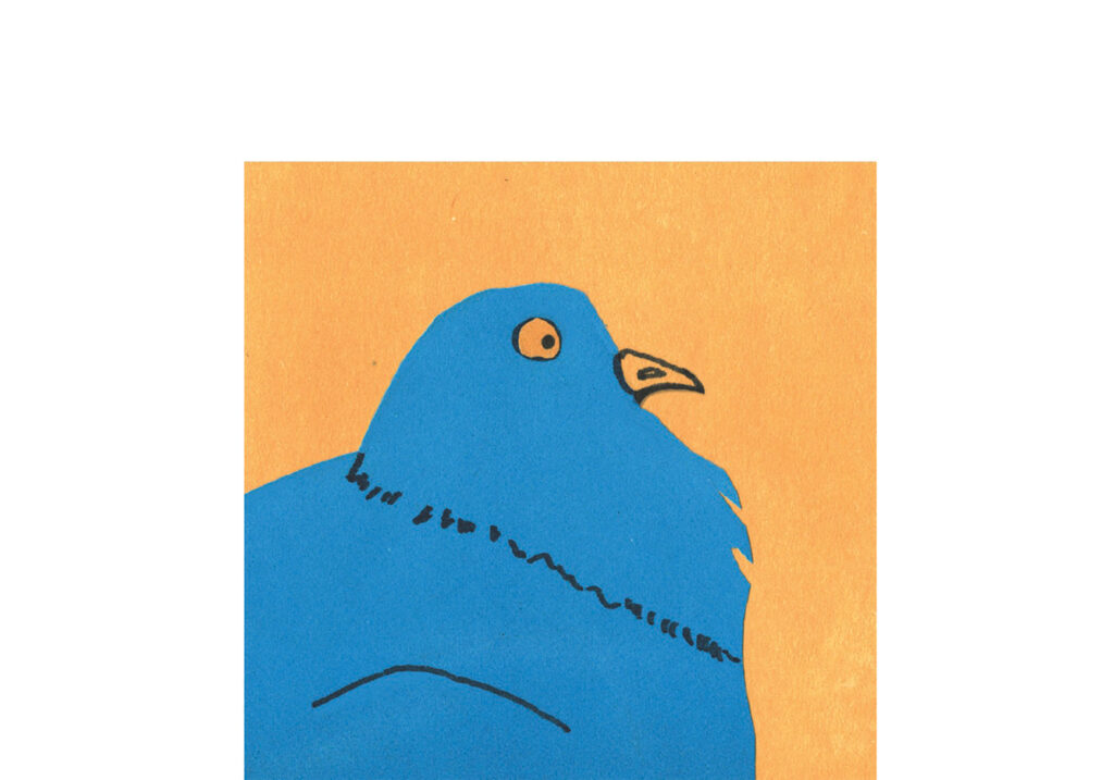 face of a paper cut pigeon, looking surprised and funny at the same time. The pigeon is looking in front of him